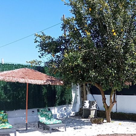 패트론 Casa Amelia 1ªp A 50 M Camino De Santiago 빌라 외부 사진