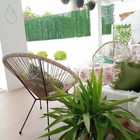 패트론 Casa Amelia 1ªp A 50 M Camino De Santiago 빌라 외부 사진