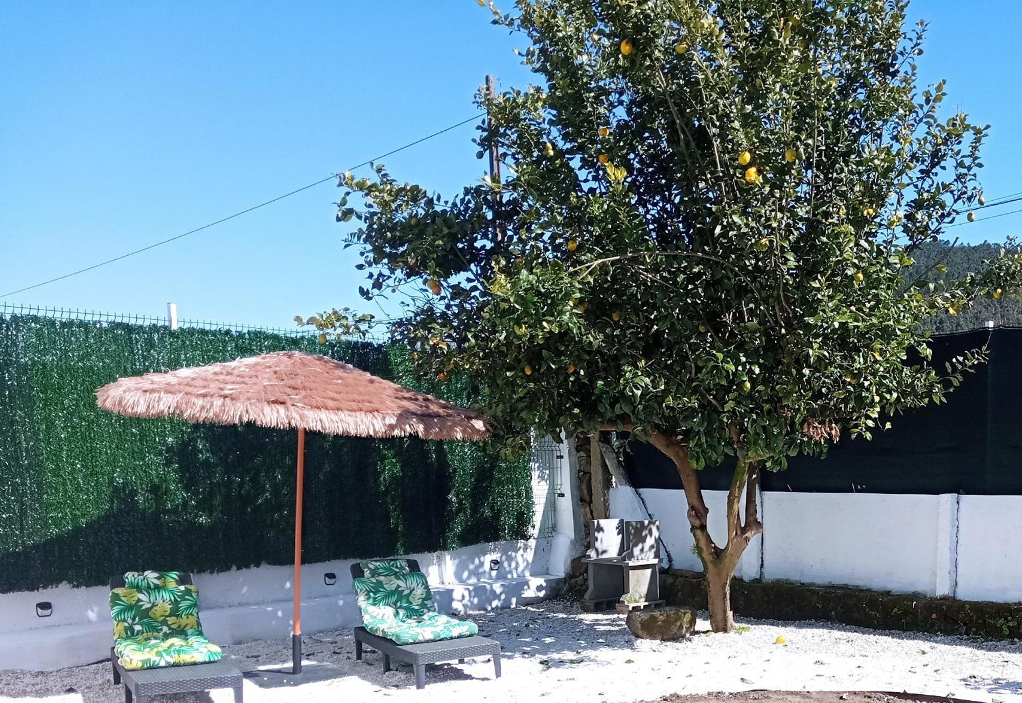패트론 Casa Amelia 1ªp A 50 M Camino De Santiago 빌라 외부 사진